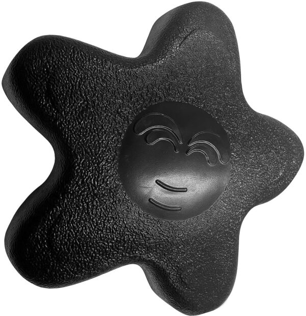 Ручка регулююча Passion Spas Star Handle 1", чорна